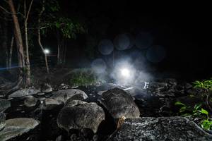 BIB: 
                            <button type="button" onclick="openModal(18617758)" class="btn btn-primary btn-sm float-right btn-popup" data-toggle="modal" data-target=".modal-high-quality">
                        <i class="fas fa-shopping-cart"></i> Add to Cart
                    </button>
                                            <button type="button" onclick="isThisMe(18617758, true)" class="btn btn-success btn-sm float-right btn-popup btn-isme hidden" data-toggle="tooltip" data-placement="bottom" title="นี่คือรูปของคุณใช่ไหม คลิกที่นี่เพื่อเอาเข้าอัลบั้ม">
                        <i class="fas fa-plus"></i> Add to album
                    </button>
                    <button type="button" onclick="isThisMe(18617758, false)" class="btn btn-warning btn-sm float-right btn-popup btn-isnotme hidden">
                        <i class="fas fa-ban"></i> Remove from album
                    </button>